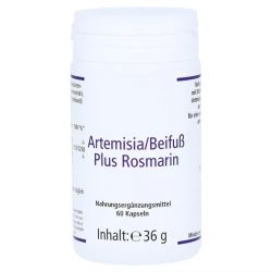 Артемизинин 150 мг капс. 60шт в Калуге и области фото